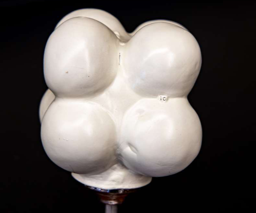 <p>What is this?</p>