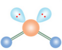 <p>What is the steric number?</p>