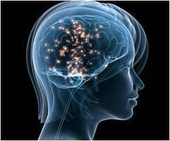 <p>The <u><mark data-color="#ebe3cb" style="background-color: rgb(235, 227, 203); color: inherit;">monoaminergic neurotransmitter</mark></u> serotonin also plays a role in satiety.</p>