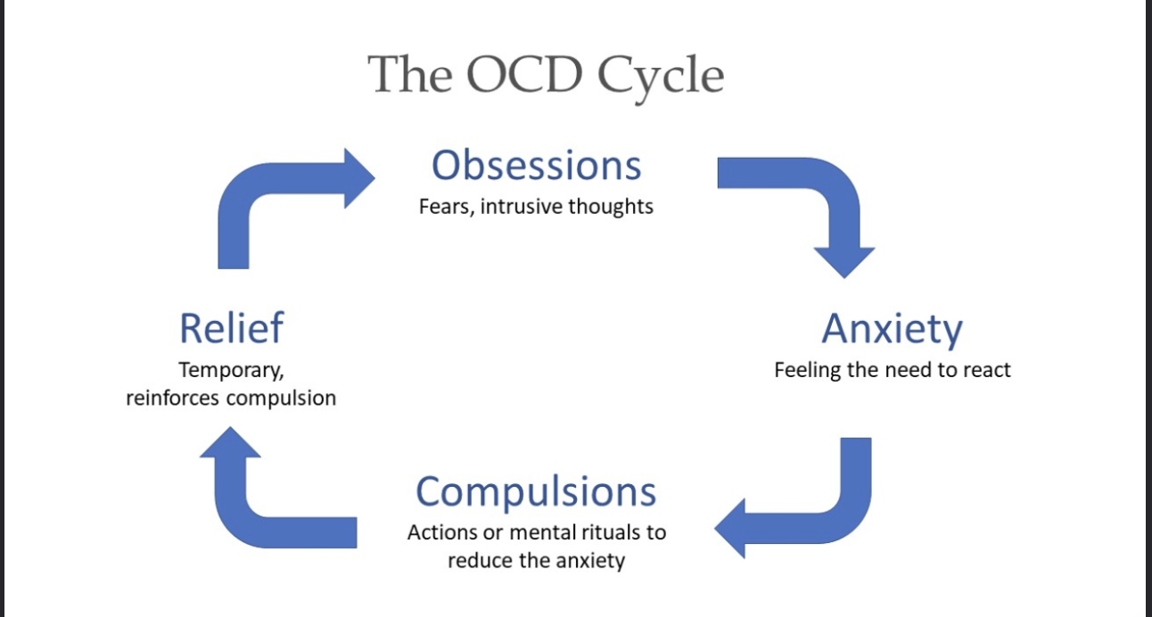 <p>obsessions (fears, intrusive thoughts) → anxiety (feeling the need to react) → compulsions (actions or mental rituals to reduce the anxiety) → Relief (temporary, reinforces compulsions) → Obsessions</p>
