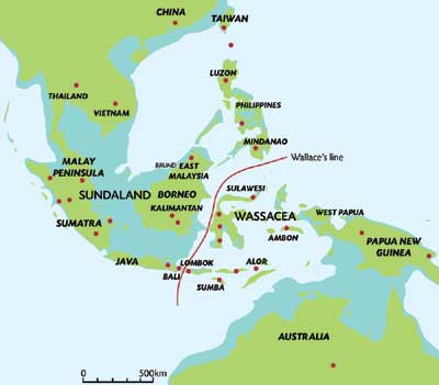 <p><strong>islands belong to asian continent</strong></p>