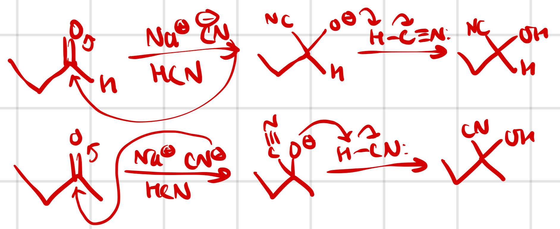 knowt flashcard image