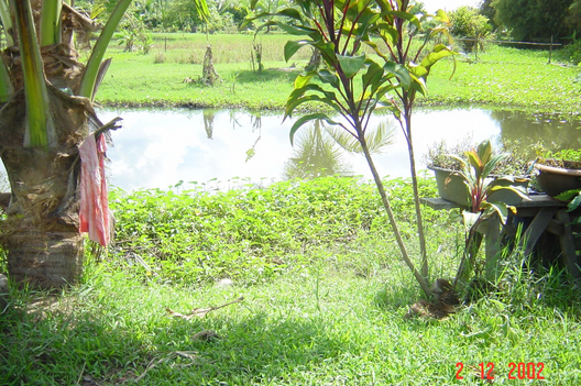 <p>Untitled photograph of the ongoing collective project, <em>The Land</em></p>