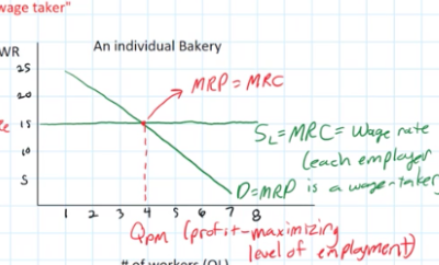 <p>profit-maximizing quantity of labor</p>