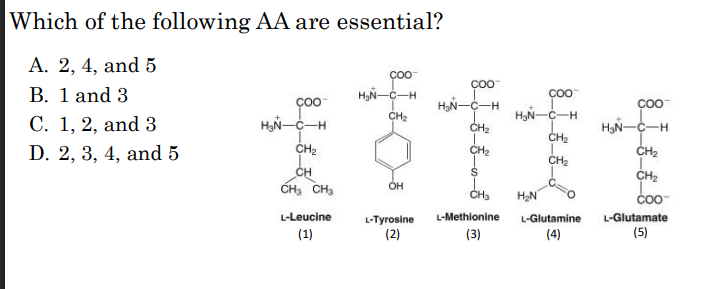 <p>Which of the following AA are essential?</p>