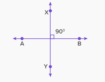 <p></p><p>Lines that intersect at a right angle</p>