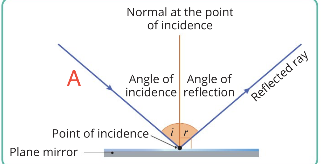 <p>What is A in this image?</p>