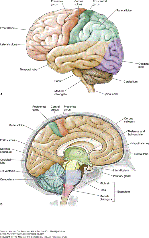 <p>orientation</p>