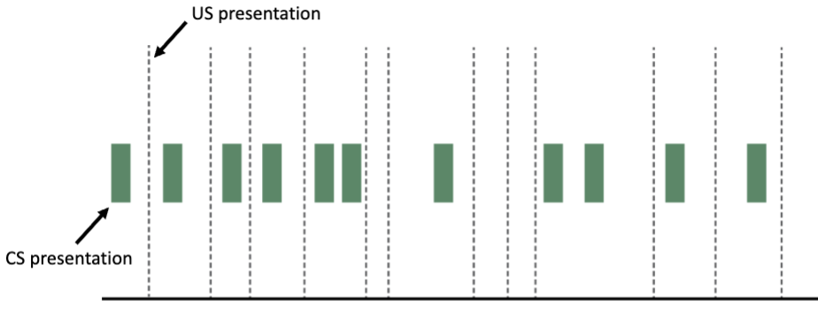 <ul><li><p>We are using an Unconditioned Stimulus but not an excitatory CS</p></li><li><p>Everytime a US is presented is during a time when the CS is absent and everytime the CS is occurring the subject understands that there is no chance that the US will happen</p></li></ul><p></p><p></p>