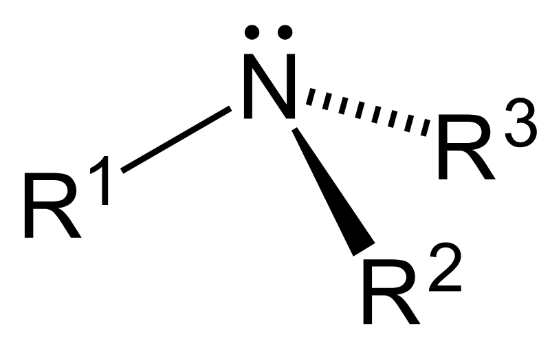 <ul><li><p>3 Carbon groups attached to N and no remaining H </p></li></ul><p></p>