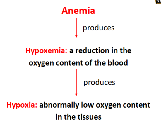 <p>Anemia causes <strong>hypoxemia</strong>, which is a <strong>reduction</strong> in the <strong>oxygen</strong> <strong>content</strong> of the <strong>blood</strong></p>