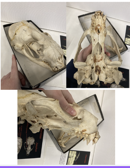 <p>What is this?</p>