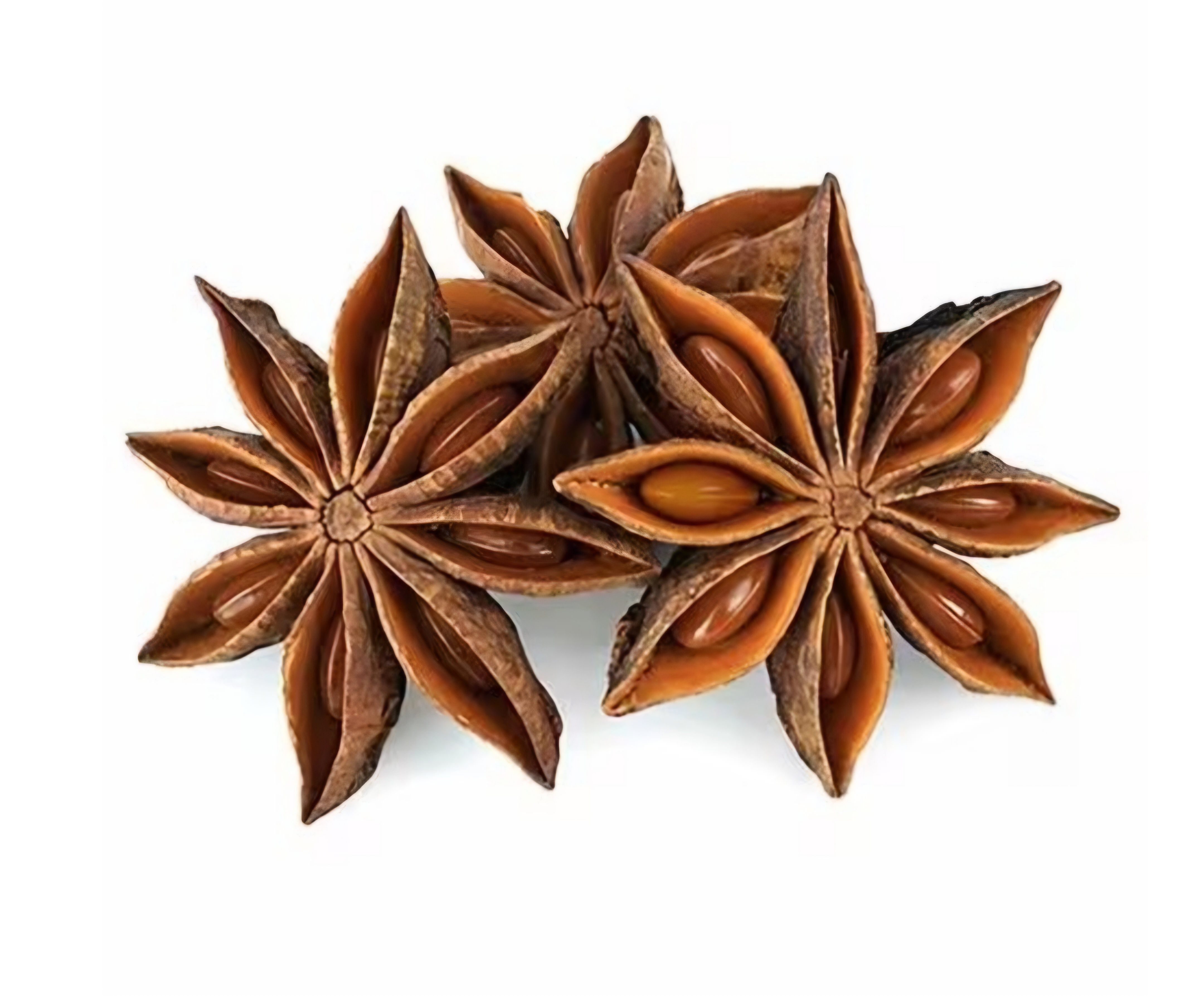 <p>What is this fruit?</p>