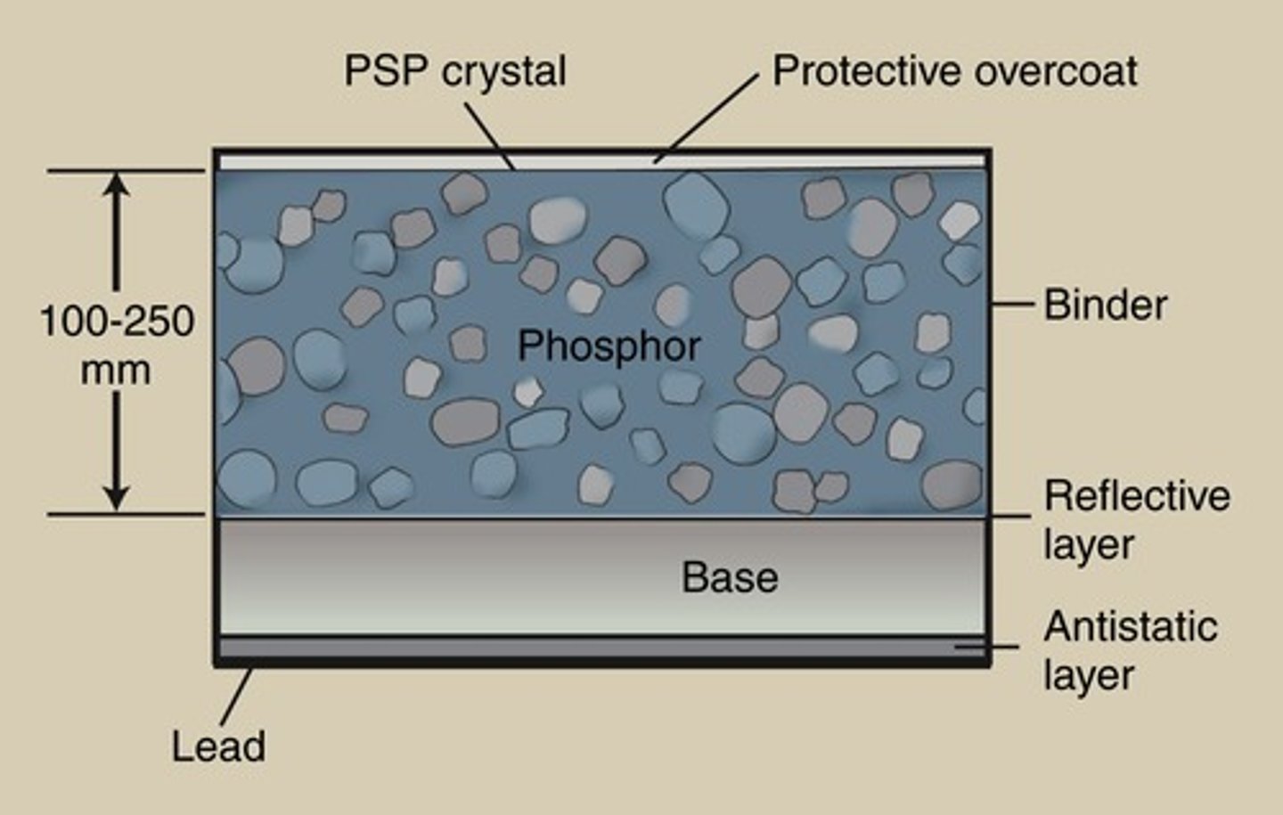 <p>PSP = photostimulable phosphor</p>