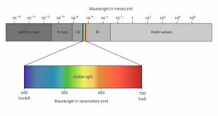 <p>Light is comprised of packets of energy called <strong><u>photons</u></strong></p><ul><li><p><span style="background-color: transparent;"><strong>Electromagnetic Spectrum </strong>- represents the range of energy levels </span></p></li><li><p><span style="background-color: transparent;">Human eyes only perceive photons of intermediate energy levels, known as “<strong>visible light</strong>”.</span></p></li></ul><p></p>