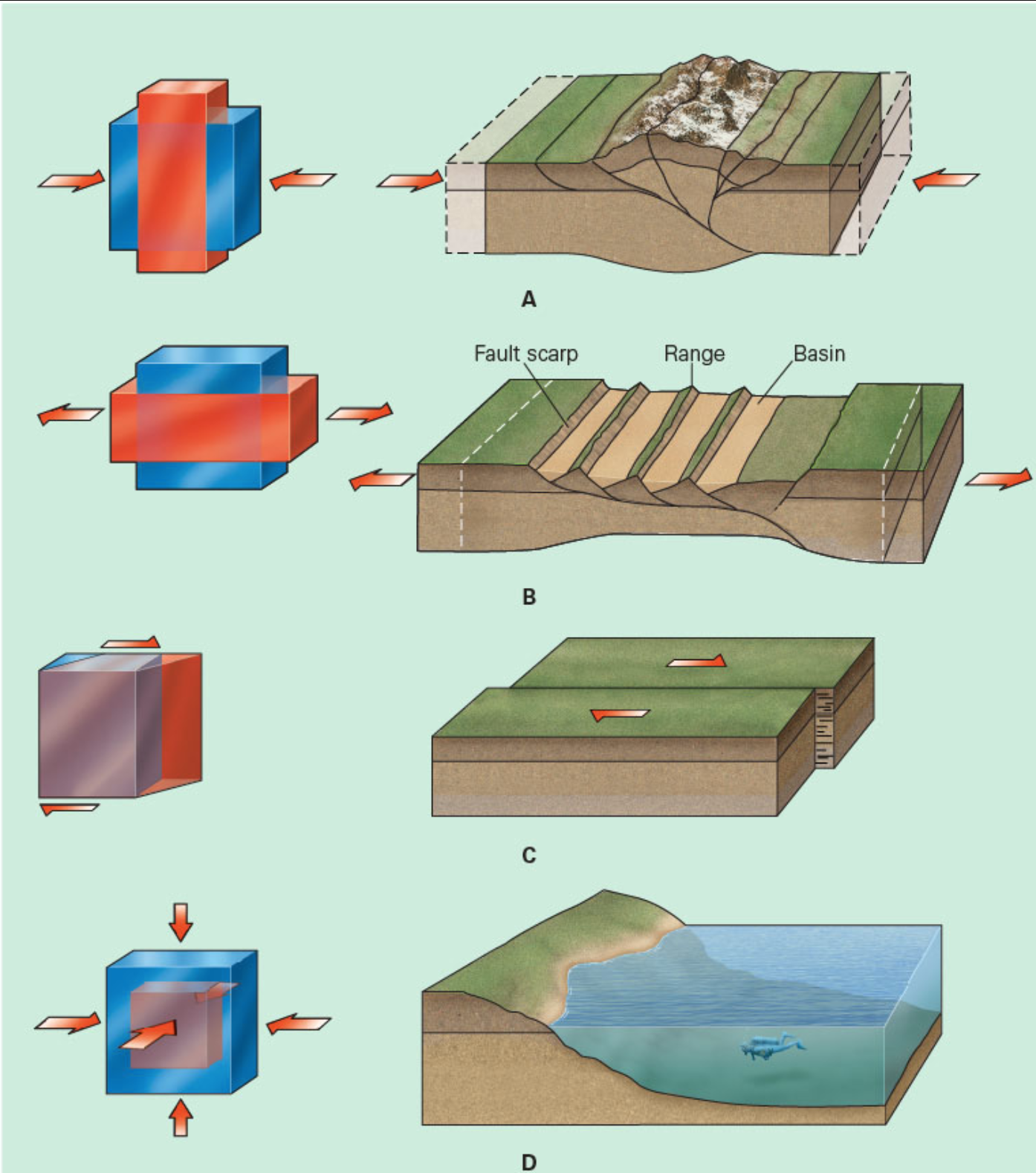 <p><span>The four images below show geologic settings created by different regional stress regimes. Which of the following geologic settings would you find at a convergent-plate boundary?</span></p>
