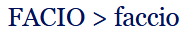 term image