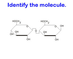 <p>mono-, di-, or poly?</p>
