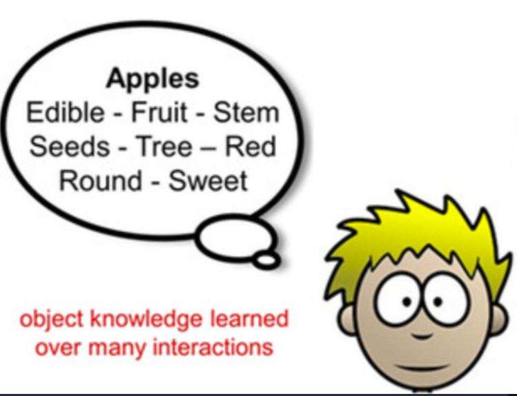 <p>Semantic memory</p>