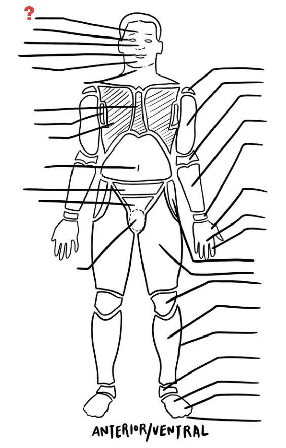 term image