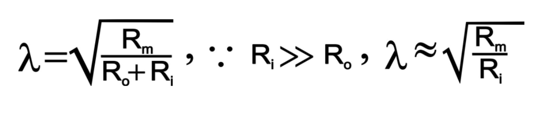 <ul><li><p><span style="background-color: transparent;">Defined by the internal resistance, EC fluid resistance and membrane resistance</span></p><ul><li><p><span style="background-color: transparent;">However EC fluid resistance removed from calculates as its not easily adjustable&nbsp;</span></p></li></ul></li><li><p><span style="background-color: transparent;">Defined to calculate the the distance you can travel until the voltage drops 37% of its original value</span></p><ul><li><p><span style="background-color: transparent;">Ideally, increasing 𝜆 is good so the depolarizing current travels a long distance</span></p></li></ul></li></ul><p></p>