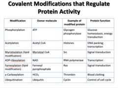 <p>Donor molecule: Ubiquitin</p><p>Example: Cyclin</p><p>Function: Control of cell cycle</p>