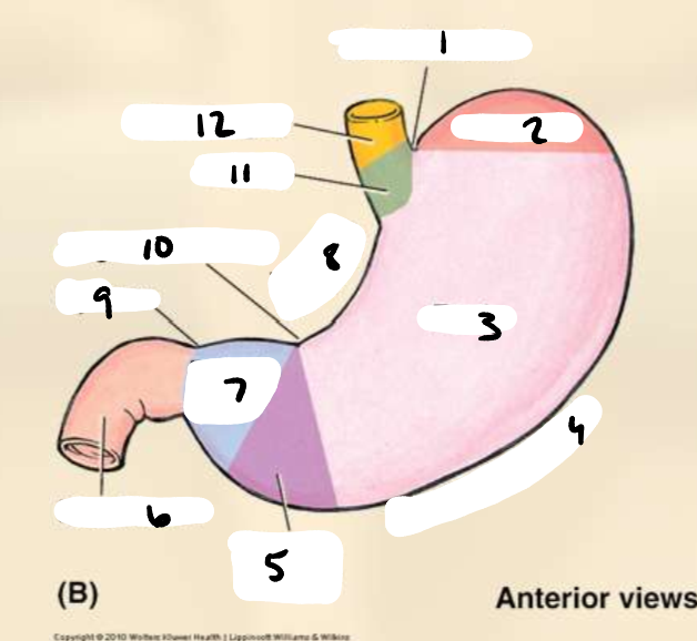 <p>point 11</p>