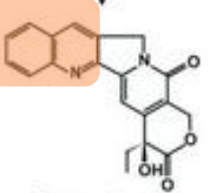 <p>Identifica o composto e diz:</p><ul><li><p>Classe</p></li><li><p>A sua obtenção</p></li><li><p>A sua basicidade</p></li><li><p>Intermediários</p></li><li><p>Ação farmacológica</p></li></ul><p></p>