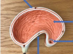 <p>name the parts</p>