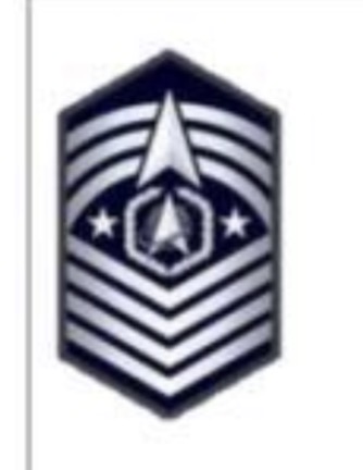 <p>USSF Enlisted Ranks</p>