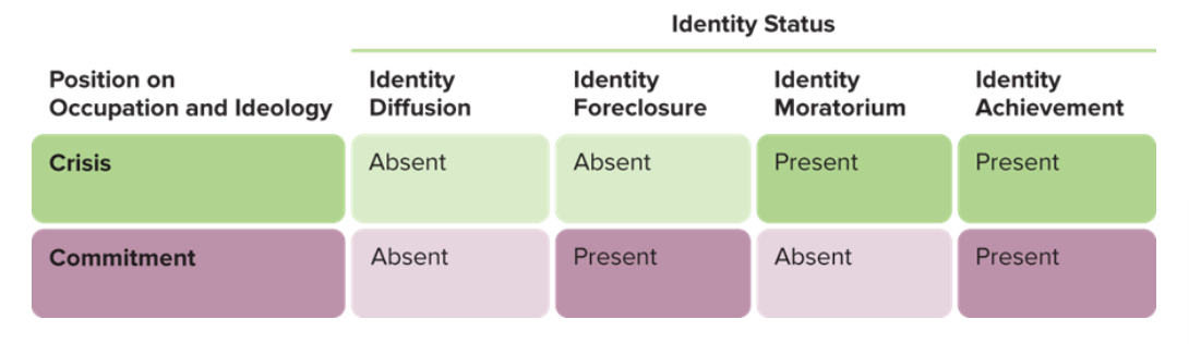<ul><li><p>identity diffusion</p></li><li><p>identity foreclosure</p></li><li><p>identity moratorium</p></li><li><p>identity achievement</p></li></ul><p></p>