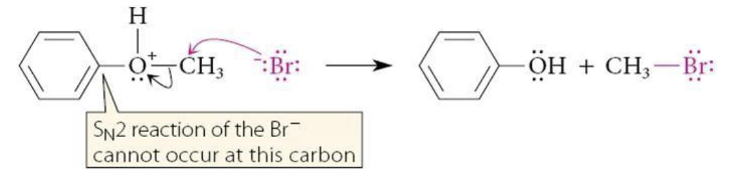 <p>phenol and alkyl bromide</p>