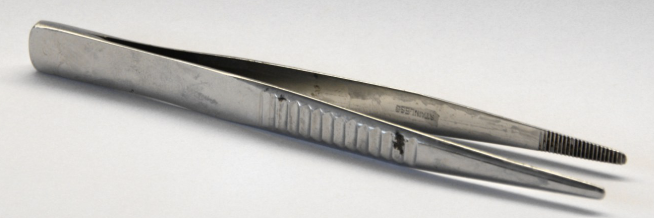 <p>Forceps or Tweezers</p>