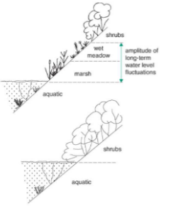<p>Predicting consequences of flooding</p>