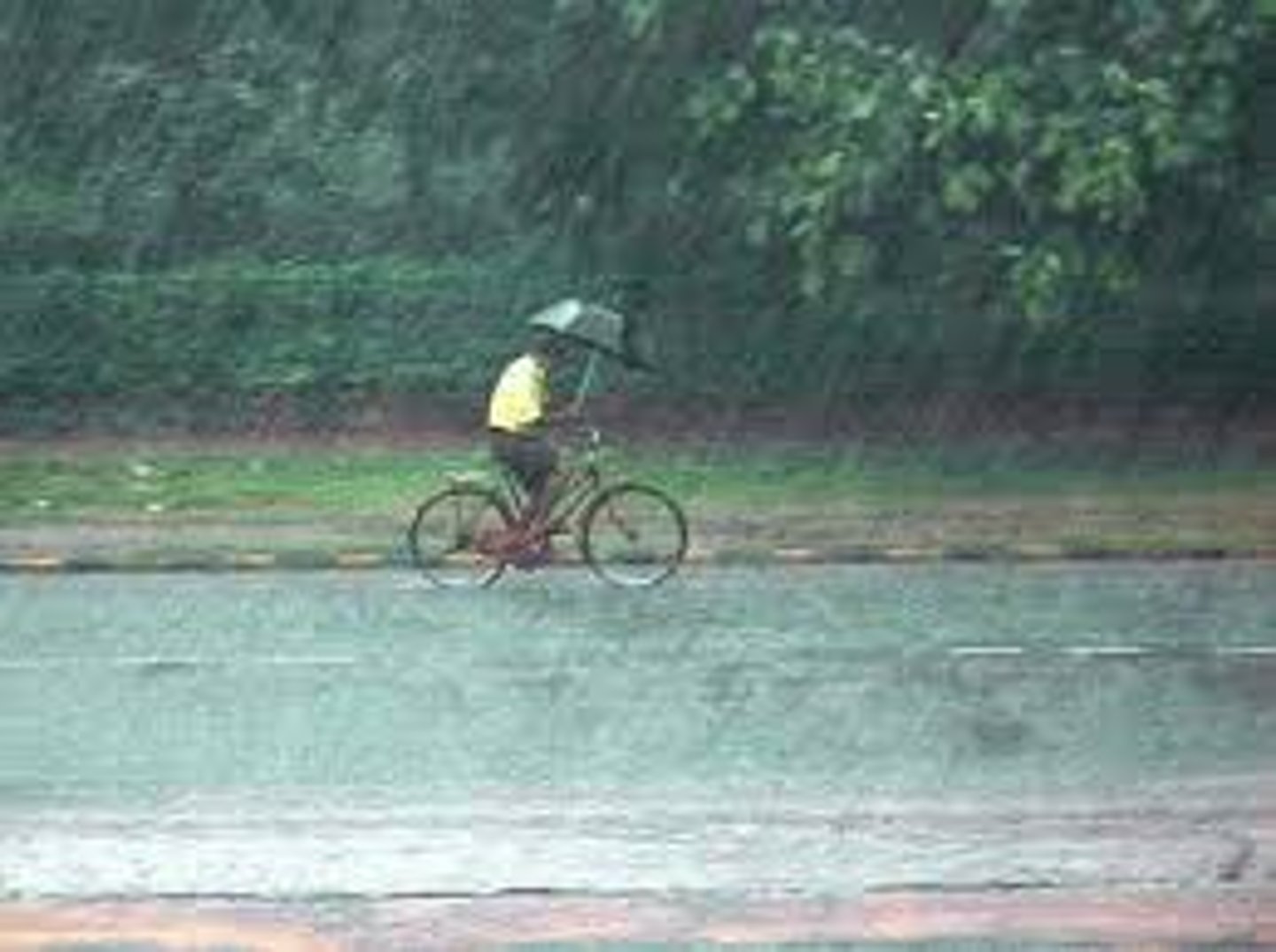 <p>heavy rain "In fact I've never seen such .......... ...."</p>