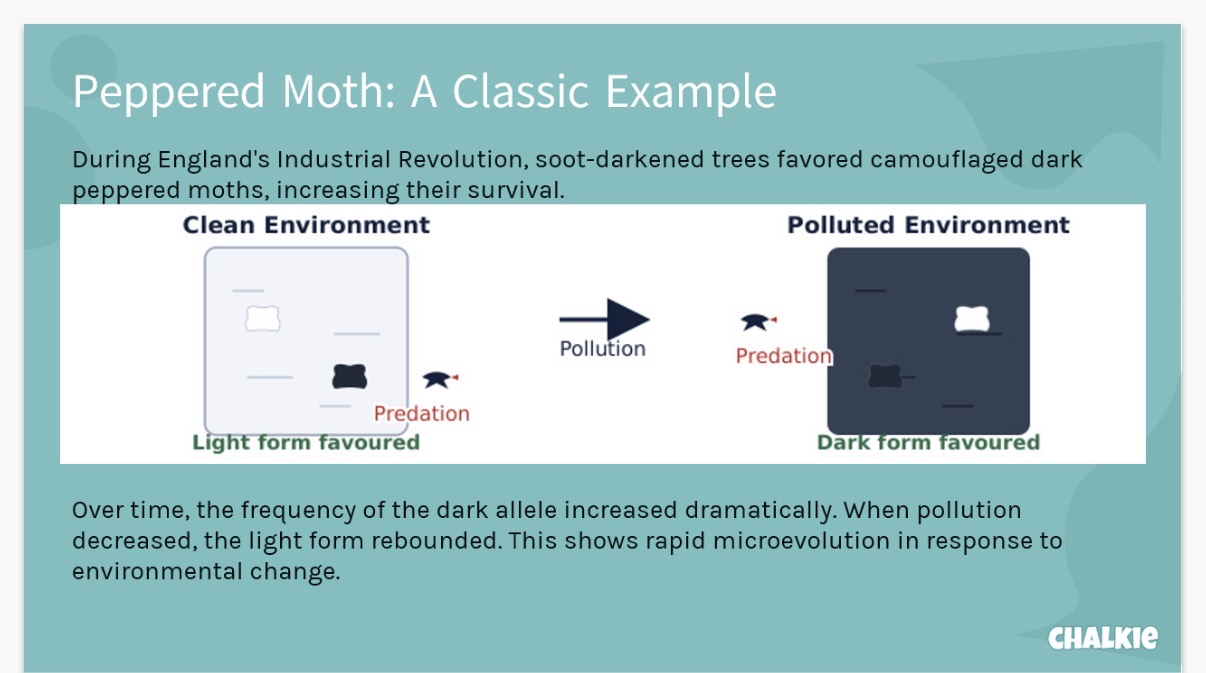 <ol><li><p><span>1) Overproduction: Organisms produce more offspring than the environment can support which leads to competition for survival.</span></p><p>2) There is variation among individuals in a population therefore they are not identical.</p><p>3) Individuals with advantageous traits are more likely to survive their environment.</p><p>4) <span>The traits that allow for survival are passed down to the next generation.</span></p></li></ol><p></p><ol start="2"><li><p>Mutations and gene shuffling during meiosis and sexual reproduction introduce DNA differences.</p></li><li><p>Environmental</p></li><li><p>Mutation</p></li><li><p>1) Variation Exists: Individuals vary in traits like size, color, or speed due to genetic differences</p></li></ol><p>2) Selection Pressure: Environmental factors favor certain traits based on predators, climate,and food availability</p><p>3)Survival &amp; Reproduction: Advantageous traits increase survival, reproduction, and gene transmission</p><p>4)Change Over Time: Beneficial alleles increase over generations; so the population evolves</p><p></p><ol start="6"><li><p>Selection</p></li><li><p>DNA</p></li><li><p>Assortment</p></li><li><p>Genes</p></li><li><p>1) Generational Shift: Evolution needs many generations-often thousands/millions of years-for small changes.</p></li></ol><p>2) Slow Mutation: Rate Beneficial mutations are rare and spread slowly.</p><p>3) Environmental Stability: Environments change slowly, so selective pressures shift gradually.</p><p>4) Genetic Inertia: Large populations change slowly due to gradual gene frequency shifts</p><p></p>