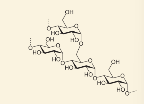<p>amylose</p>