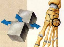 <ul><li><p>articular surfaces are flat planes</p></li><li><p>small gliding movements</p><ul><li><p>intertarsal and intercarpal joints</p></li><li><p>scapulothoracic joint</p></li><li><p>movements are non-axial</p></li><li><p>gliding does not involve rotation around any axis</p></li></ul></li><li><p>joints of hand, wrist, foot</p></li></ul><p></p>