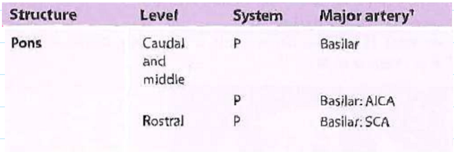 <p>Level: Caudal and middle  - Rostral</p><p>System: P - P, P</p><p>Major Artery: Basilar - Basilar: AICA, Basilar: SCA</p>