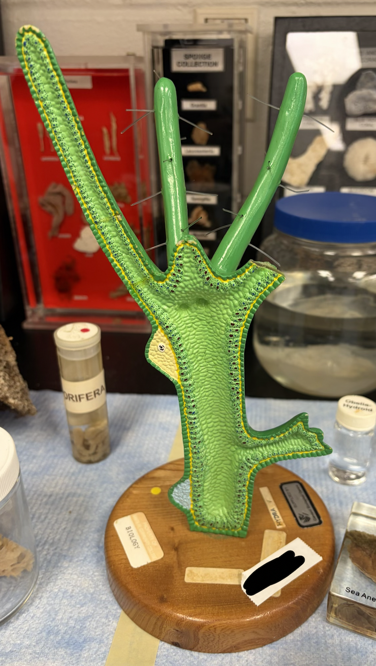 <p>What is this?</p>