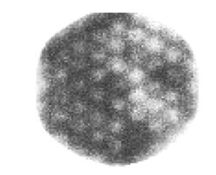 <p>Given this field flood, what is the cause of the depicted non-uniformity?</p>