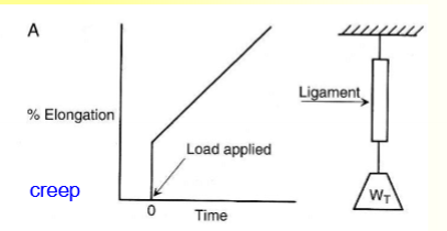 <p>a time dependent extension under a load (not an immediate stretch)</p>