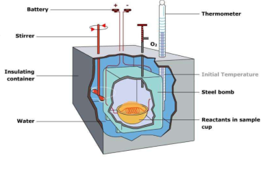 <ul><li><p>the energy content of samples of organisms from each trophic level is measured</p></li><li><p>each sample is dried in an oven </p></li><li><p>the samples are weighed </p></li><li><p>samples are burned in a bomb calorimeter in oxygen </p></li><li><p>energy produced passes to a known mass of water and the temp rise of the water is measured</p></li><li><p>how much energy is released per gram is calculated and converted to kJ</p></li></ul><p></p>