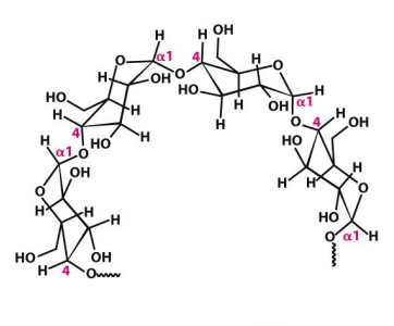 <p>What is this structure?</p>