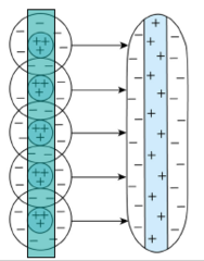 <p>Receptive fields of two adjacent V1 neurons are still adjacent to each other</p><p>These neurons receive input from multiple LGN neurons </p><p>This enables V1 neurons to function as bar detectors</p>