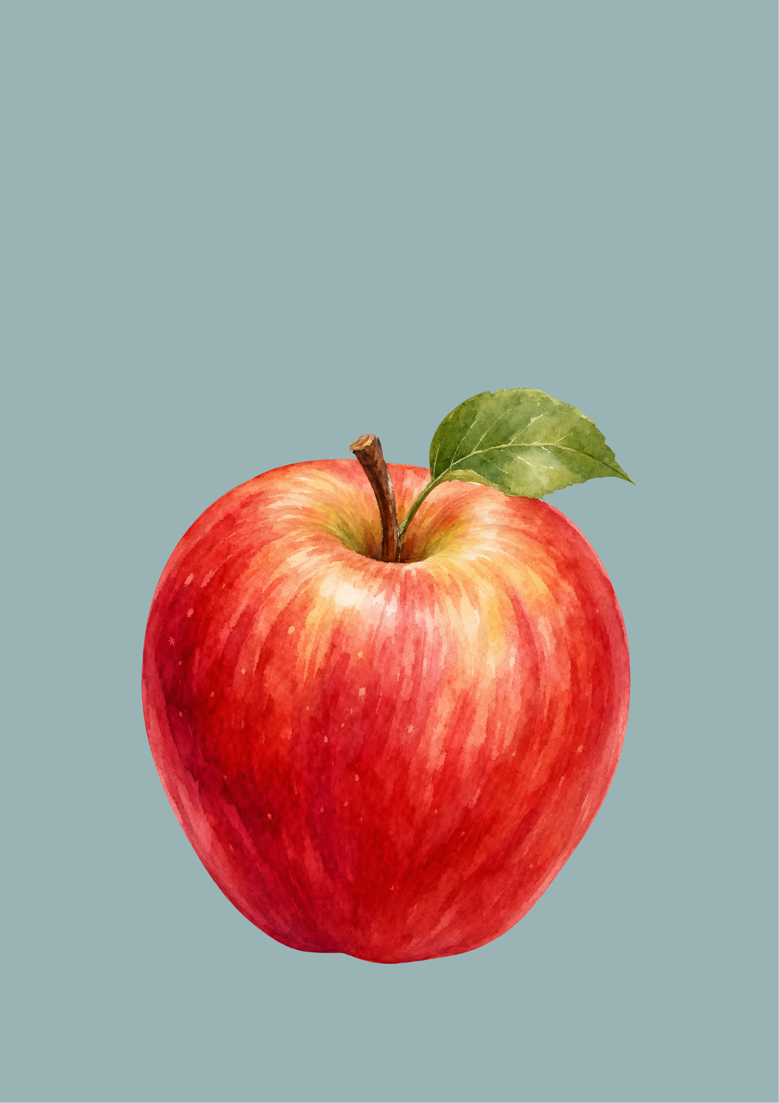 <p> </p>
