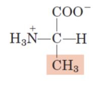 <p>Nonpolar</p>