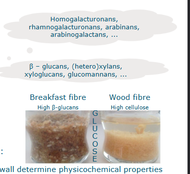 <p>diverse group of polymers</p><ul><li><p>non-starch polysaccharides</p><ul><li><p>pectic polysaccharides</p></li><li><p>hemicellulose</p></li><li><p>cellulose</p></li></ul></li><li><p>resistant starch</p></li><li><p>lignin</p></li></ul><p></p><p>chemical composition doesn’t tell it all</p><ul><li><p>structural arrangements int he cell wall determine physicochemical properties</p></li></ul><p></p>