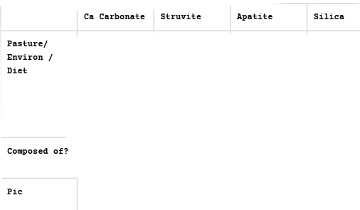 <p>.</p>