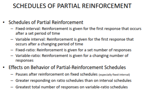 <p><strong>Variable-Ratio Schedule</strong></p>